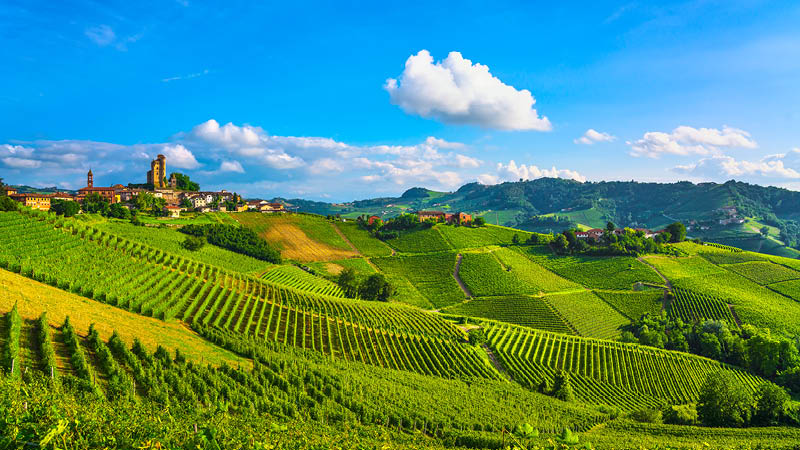 Utsikt ver vinmarkerna i Piemonte